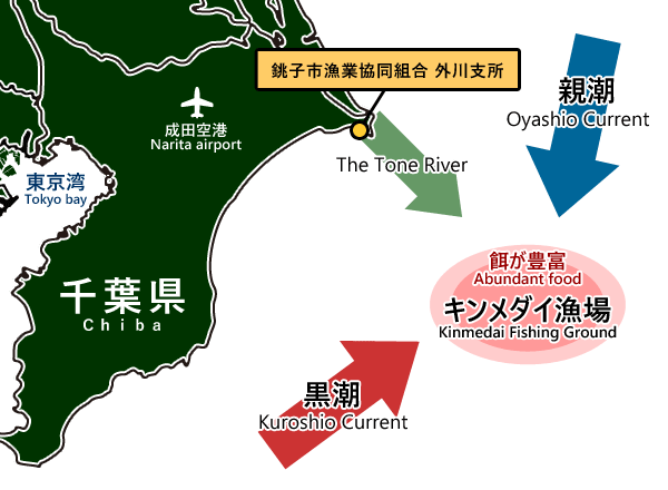 Choshi offshore fishing ground