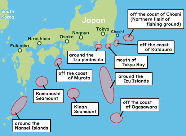 Japanese Kinmedai fishing ground