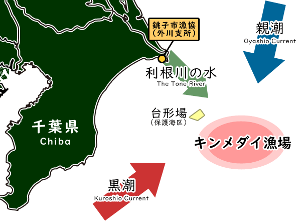 キンメダイ漁場図