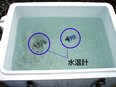 水温計を入れて保冷効果の比較検討試験
